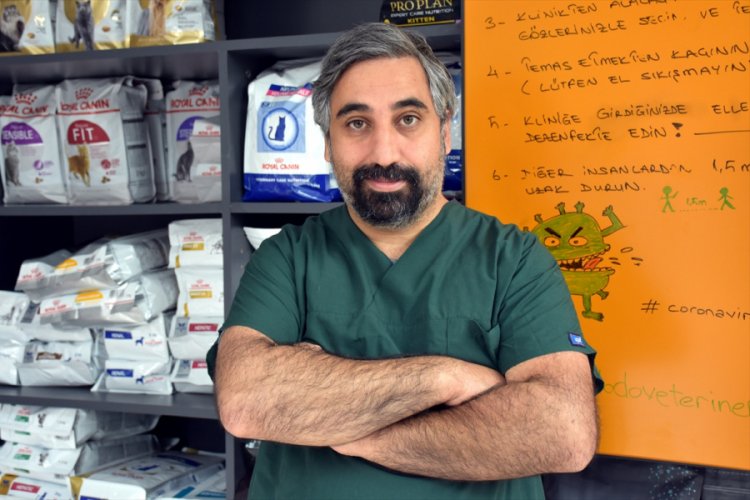 Bursa Da Veteriner Hekimle Tartisan Kisilerin 6 Bin Liralik Mama Caldigi Iddiasi Bursada Bugun Bursa Bursa Haber Bursa Haberi Bursa Haberleri Bursa