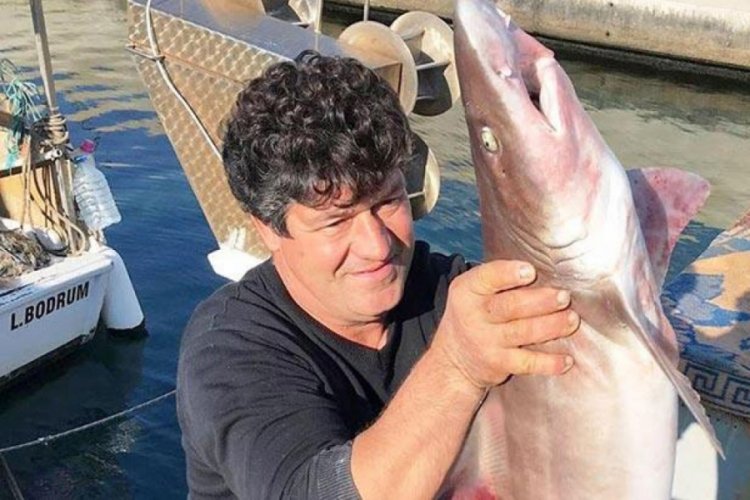Balık&ccedil;ı ağında k&ouml;pek balığı g&ouml;r&uuml;nce b&uuml;y&uuml;k şok yaşadı