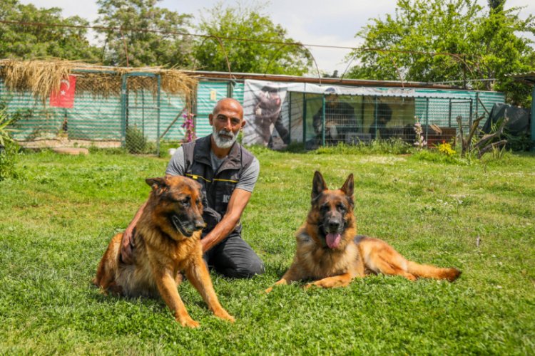 "K&ouml;pekler, koronavir&uuml;sl&uuml; hastayı tespit i&ccedil;in eğitilebilir"