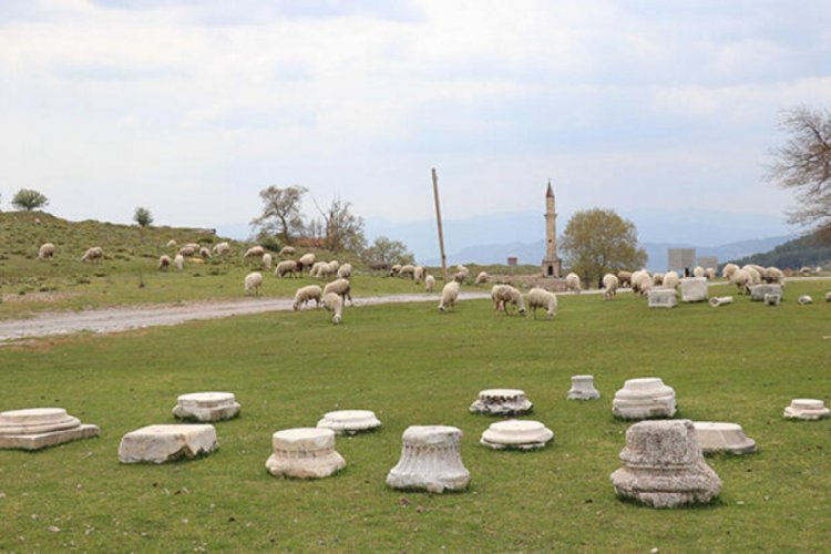 Antik kente koyun s&uuml;r&uuml;s&uuml; girdi