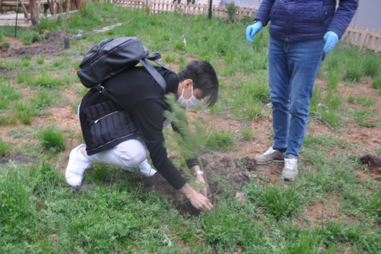 Berke &Ouml;zer yurttan ayrılırken fidan dikti