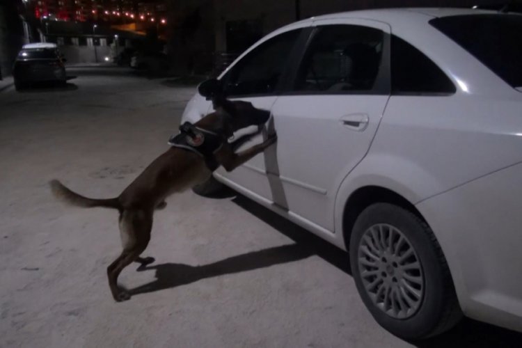 Otomobildeki 5 kilo esrarı 'Şimşek' buldu