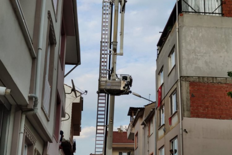 Bursa'da terk edilen yavru kedileri itfaiye kurtardı