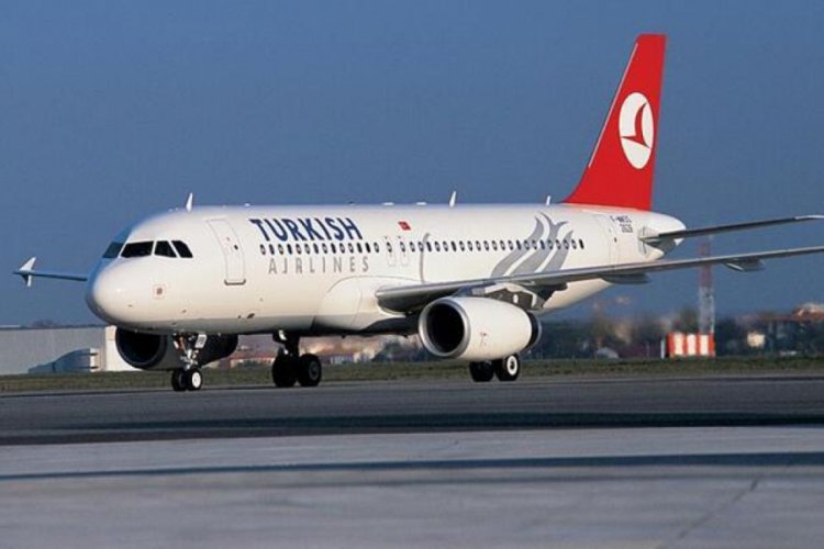 THY, evcil olmayan hayvanların T&uuml;rkiye'ye girişine izin vermeyecek