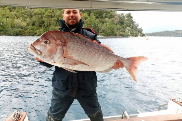 Amat&ouml;r balık&ccedil;ısının oltasına dev tran&ccedil;a takıldı