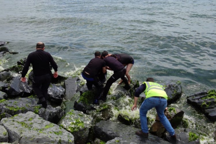 Polis denize atlayarak intihar girişiminde bulunan kadını kurtardı