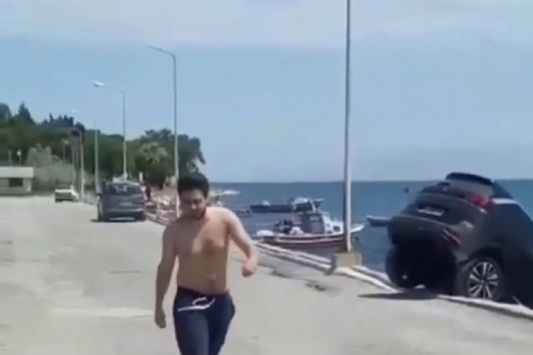 L&uuml;ks cipi denize itmişti, psikolojik sorunları olduğu ortaya &ccedil;ıktı