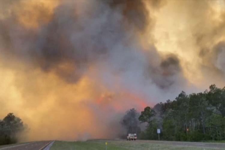 Florida eyaletindeki &ouml;rt&uuml; yangını kontrol altına alınmaya &ccedil;alışılıyor