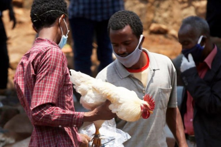 Afrika'da Kovid-19 nedeniyle 1 yılda 190 bin kişi &ouml;lebilir