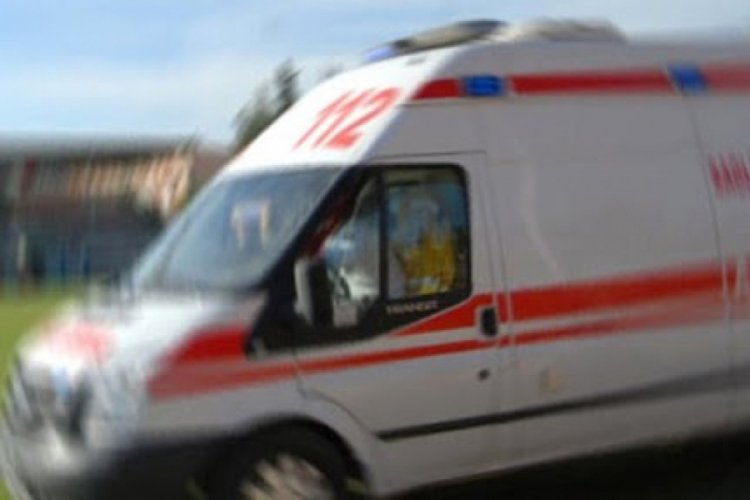 Komşuların k&ouml;pek kavgasında iki kişi &ouml;ld&uuml;