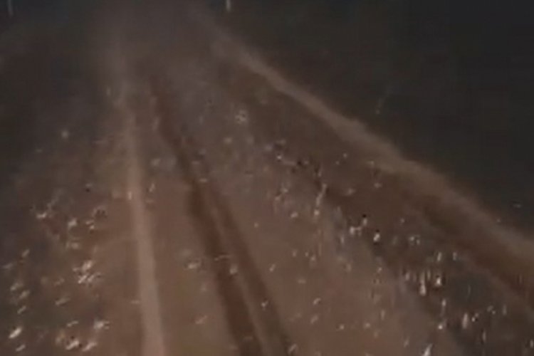 Tokat'ta mayıs ayında kar yağdı