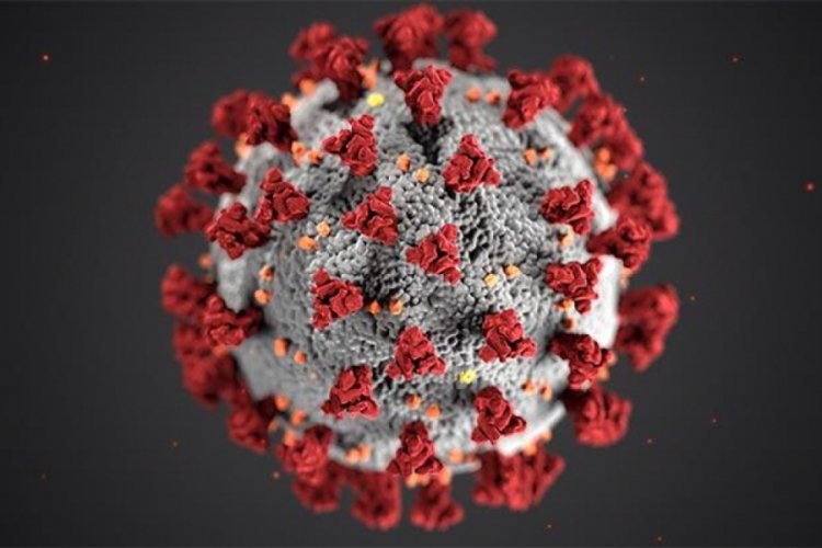 Bakanlıktan dikkat &ccedil;eken rapor: Vir&uuml;s atık suda 100 g&uuml;n yaşıyor