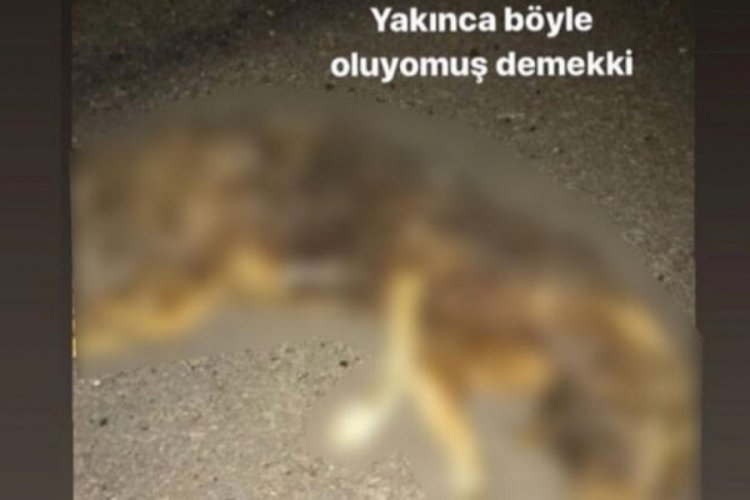 Sosyal medyada b&uuml;y&uuml;k tepki &ccedil;ekmişti, yakalandı!