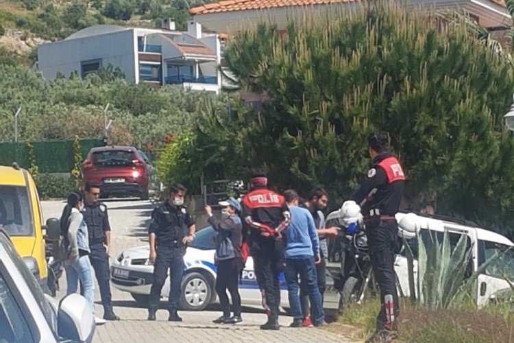 K&ouml;peğe işkence iddiası hayvanseverleri ayağa kaldırdı