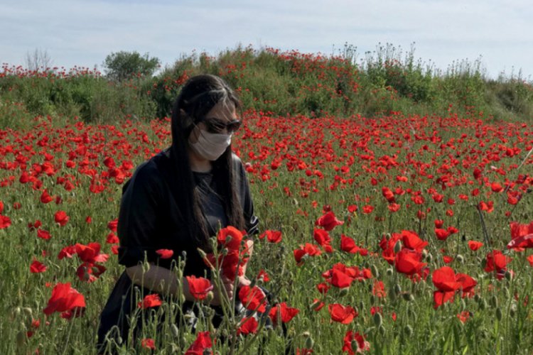 Baharın m&uuml;jdecisi gelincikler fotoğraf tutkunlarının uğrak yeri oldu