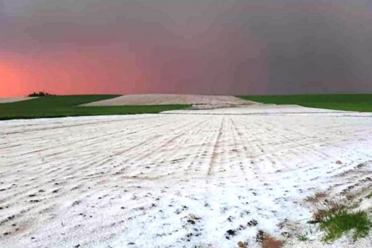 Mardin'de dolu tarım arazilerini vurdu