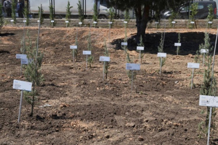 400 sağlık&ccedil;ı annenin ismi Sahra Hastanesi'nin bah&ccedil;esinde yeşerecek