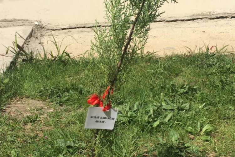 Bursa İneg&ouml;l'de yurtta misafir edilen 127 kişi karantinanın son g&uuml;n&uuml;nde fidan dikti