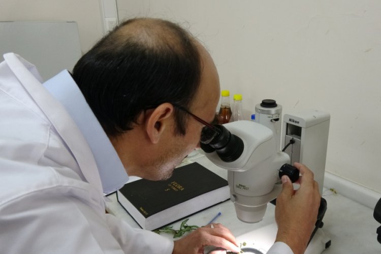Prof. Dr. Selvi: Vir&uuml;sten korunalım derken sağlığımızdan olmayalım