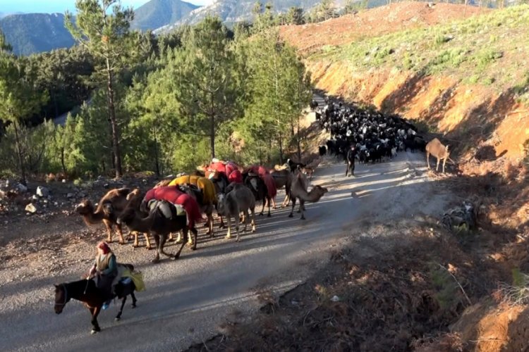 Y&ouml;r&uuml;klerin yaz g&ouml;&ccedil;&uuml; başladı