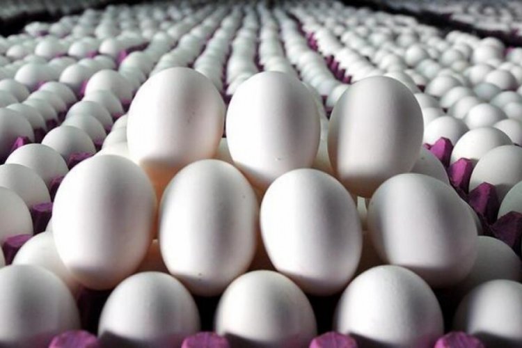 İlk &uuml;&ccedil; ayda 5.1 milyar adet yumurta &uuml;retildi