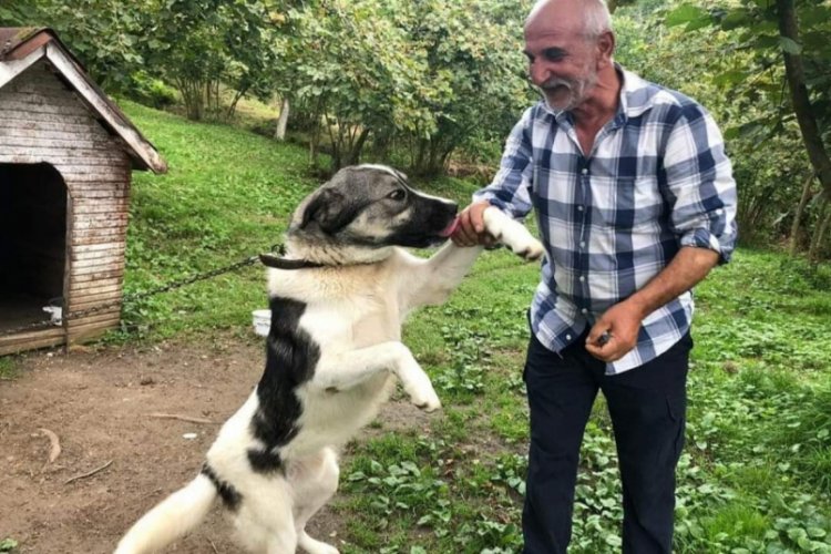Trabzon'da bir adam yayladaki evinde &ouml;l&uuml; bulundu
