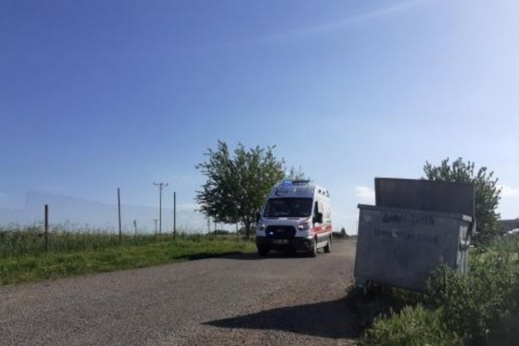 İnekler tarlaya girdi, kavga &ccedil;ıktı