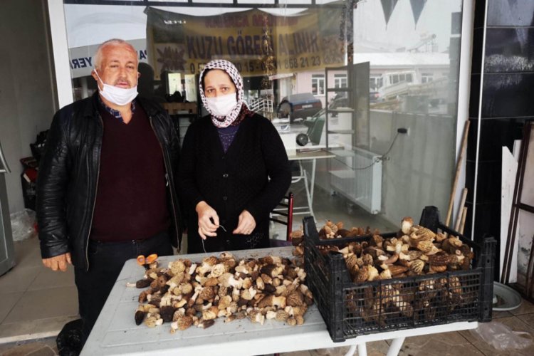 Kurutulmuşu 800 liraya satılıyor