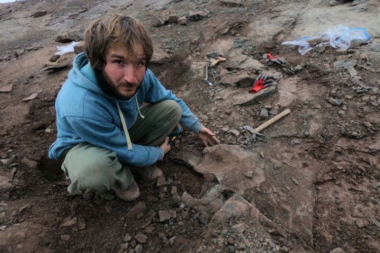 10 metrelik dinozor fosili bulundu