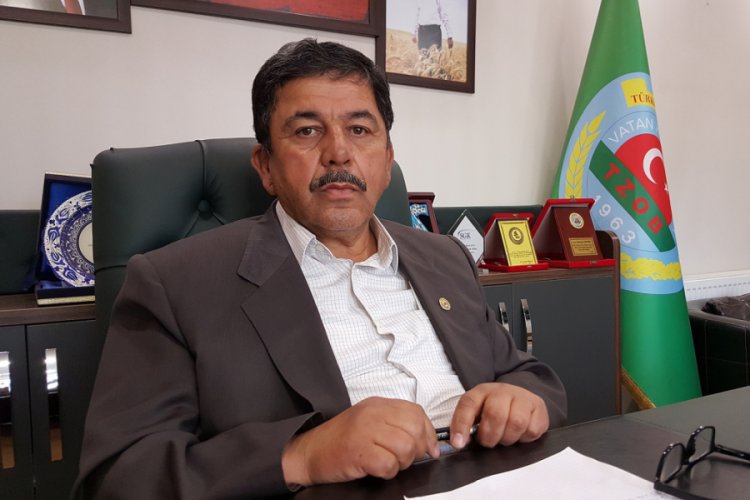 'Fındık fiyatları bu yıl da y&uuml;ksek seyredecek'
