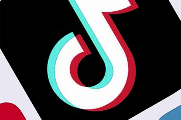 Hollanda'da TikTok'a '&ccedil;ocuk mahremiyeti' soruşturması