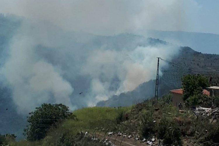 Ormanlık alandaki yangın paniğe neden oldu