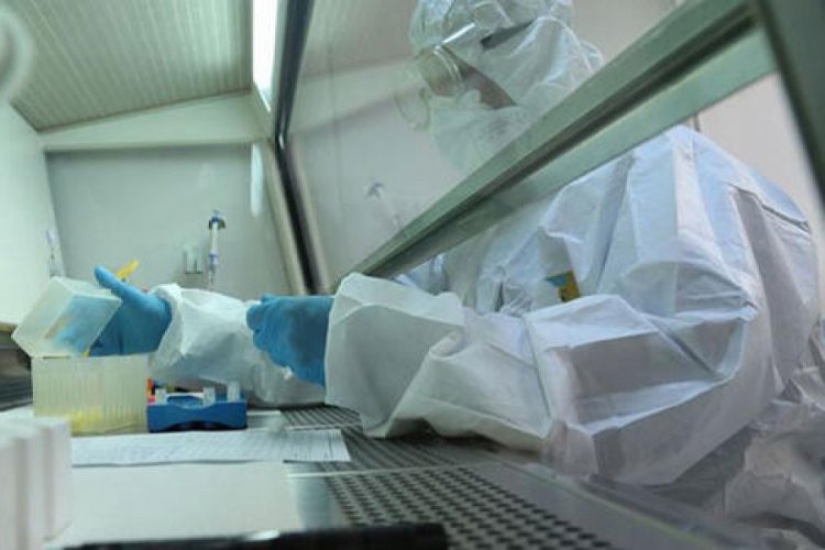 Koronavir&uuml;s tedavisinde kullanılacak Remdesivir i&ccedil;in 5 şirkete izin