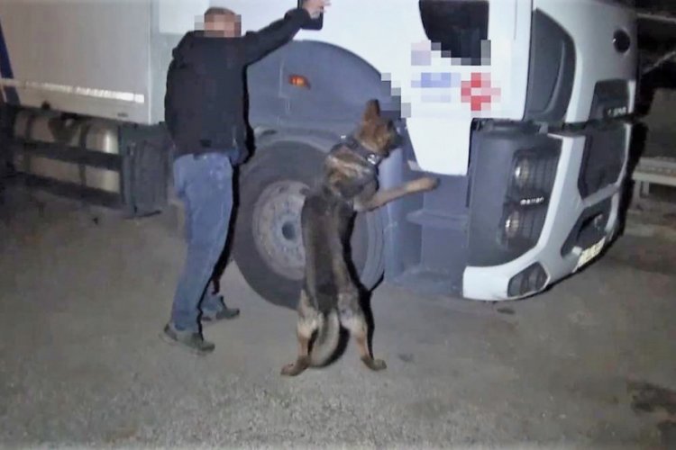 Ter&ouml;r &ouml;rg&uuml;t&uuml;ne operasyonda 327 kilo esrar ele ge&ccedil;irildi