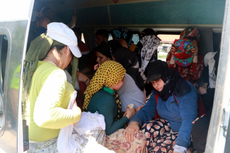 7 kişi taşınması gereken minibüsten 35 kişi çıktı - Bursada Bugün ...