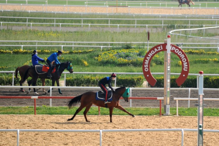 Bursa'da milyon liralık atlar, yarışların başlamasına hazır