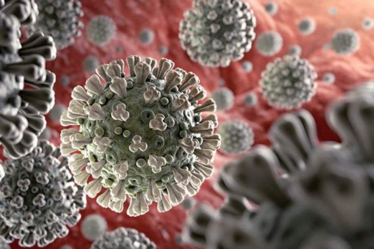 Koronavir&uuml;s hakkında &ccedil;ıkan haber sayısı 20 milyona yaklaştı