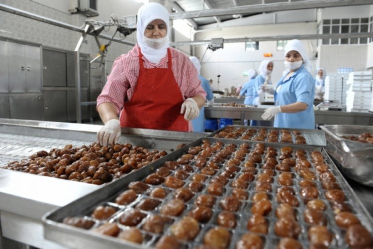 Bursa'da Kardelen yeniden &uuml;retime başladı