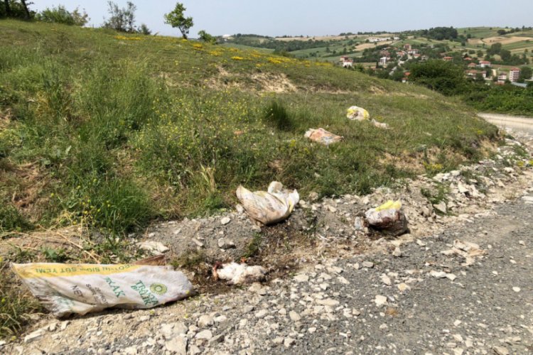 Tavuk &ouml;l&uuml;leri yol kenarına atıldı