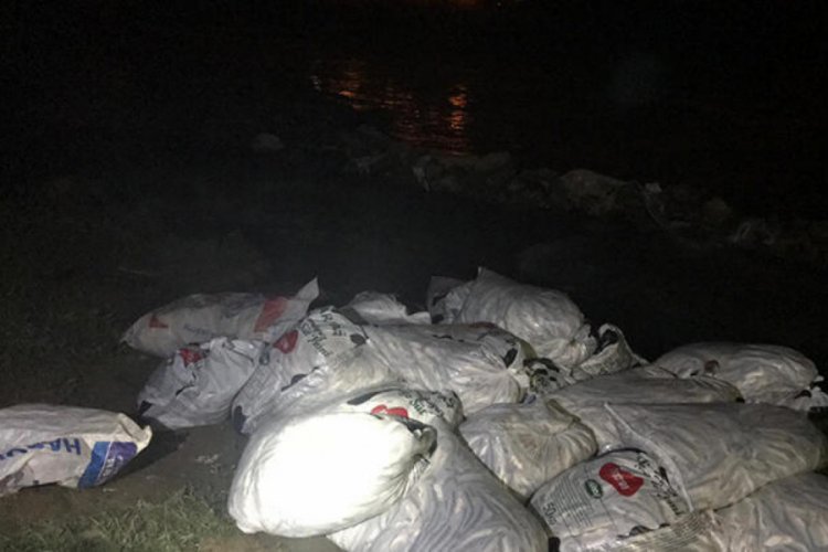 Ka&ccedil;ak avlanan 5,5 ton 'inci kefali' ele ge&ccedil;irildi