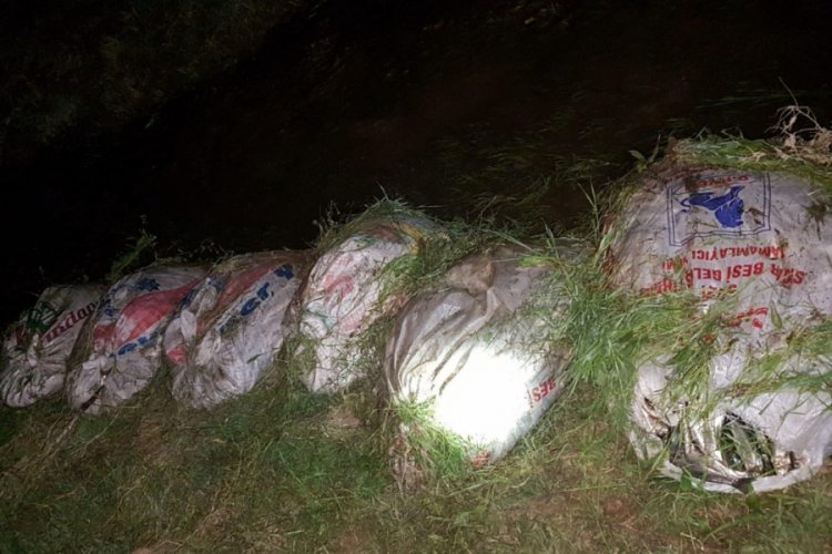 3,5 ton ka&ccedil;ak avlanmış balık ele ge&ccedil;irildi