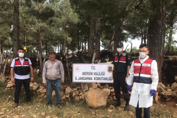 Komşunun hayvanlarını &ccedil;alan ş&uuml;pheli ve iki arkadaşı yakalandı