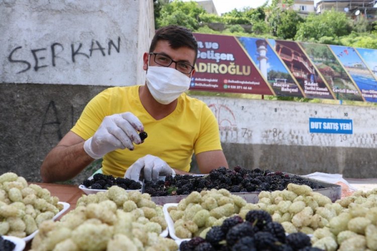 Şifa deposu 'dut' tezgahlarda yerini aldı