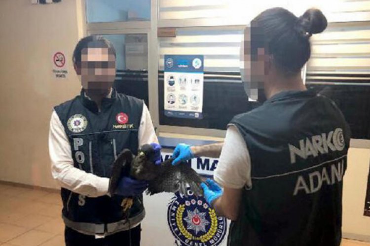 &Ouml;l&uuml; kuş bulunan otomobildeki 2 kişiye 13 bin lira ceza