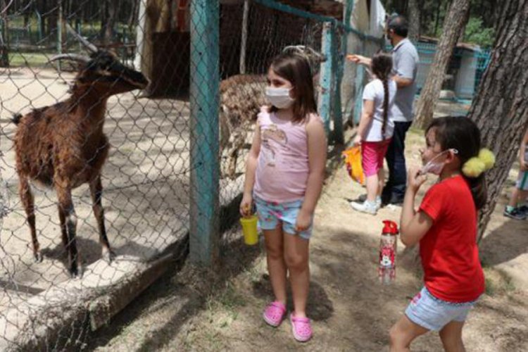 &Ccedil;ocuklar hayvanat bah&ccedil;esine akın etti