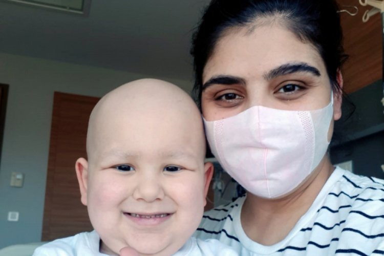 H&uuml;cre nakli tamamlanan Kuzey'den ilk fotoğraf: İşlem tamam