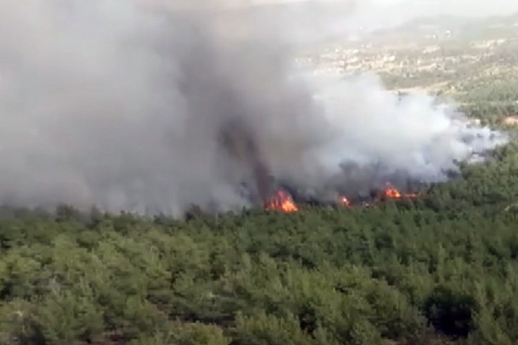 Muğla'daki orman yangını m&uuml;dahaleye rağmen b&uuml;y&uuml;yor