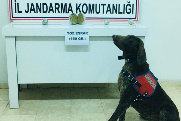 Van'da 550 gram esrarla yakalanan 2 kişi g&ouml;zaltında