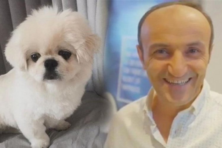 Ersin Korkut yeni k&ouml;peğinin fotoğrafını paylaştı