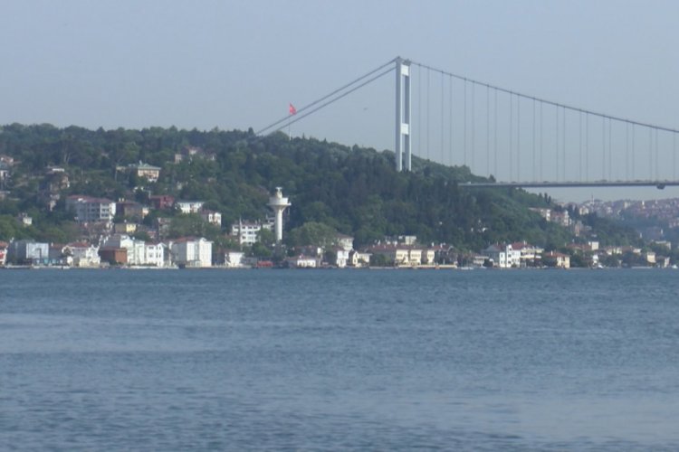 Boğaz'da binlerce balık kıyıya geldi